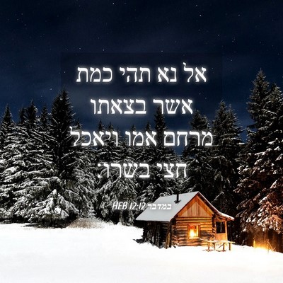 Picture 04 - במדבר 12:12 HEB - אל נא תהי כמת אשר בצאתו - Bible Verse Picture