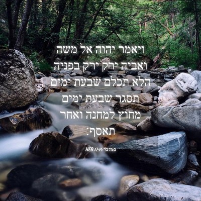 Picture 04 - במדבר 12:14 HEB - ויאמר יהוה אל משה ואביה ירק - Bible Verse Picture