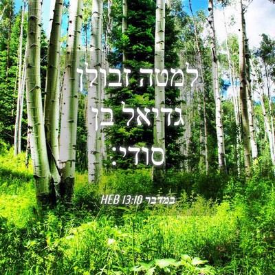 Picture 04 - במדבר 13:10 HEB - למטה זבולן גדיאל בן - Bible Verse Picture