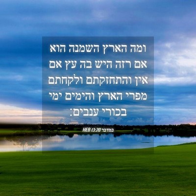 Picture 04 - במדבר 13:20 HEB - ומה הארץ השמנה הוא אם רזה - Bible Verse Picture