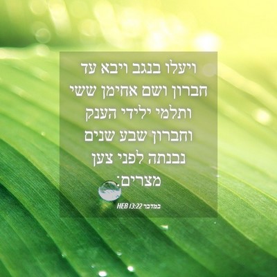 Picture 04 - במדבר 13:22 HEB - ויעלו בנגב ויבא עד חברון - Bible Verse Picture