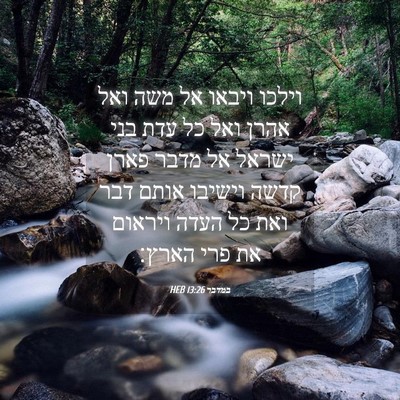 Picture 04 - במדבר 13:26 HEB - וילכו ויבאו אל משה ואל אהרן - Bible Verse Picture