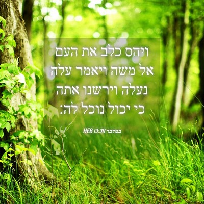 Picture 04 - במדבר 13:30 HEB - ויהס כלב את העם אל משה - Bible Verse Picture