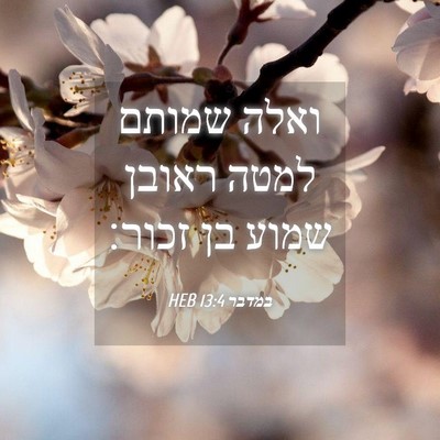 Picture 04 - במדבר 13:4 HEB - ואלה שמותם למטה ראובן שמוע - Bible Verse Picture