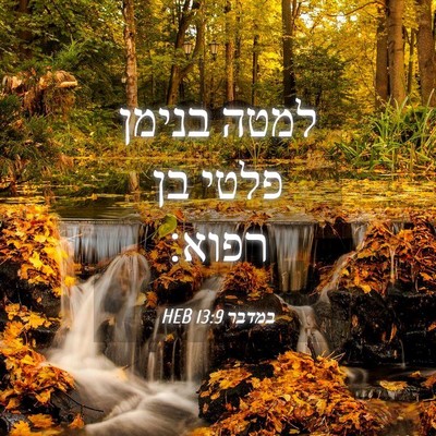 Picture 04 - במדבר 13:9 HEB - למטה בנימן פלטי בן - Bible Verse Picture