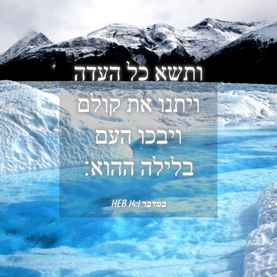 Picture 04 - במדבר 14:1 HEB - ותשא כל העדה ויתנו את קולם - Bible Verse Picture