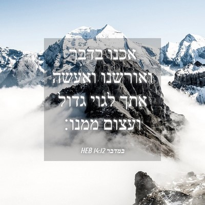 Picture 04 - במדבר 14:12 HEB - אכנו בדבר ואורשנו ואעשה - Bible Verse Picture