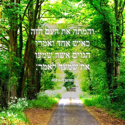 Picture 04 - במדבר 14:15 HEB - והמתה את העם הזה כאיש אחד - Bible Verse Picture