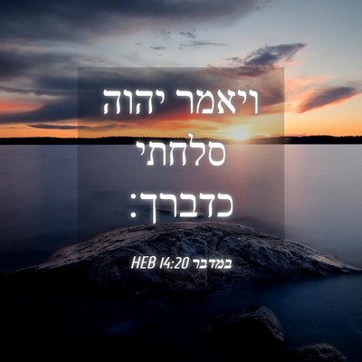 Picture 04 - במדבר 14:20 HEB - ויאמר יהוה סלחתי - Bible Verse Picture