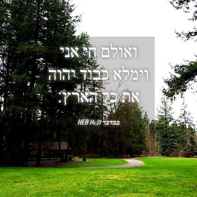 Picture 04 - במדבר 14:21 HEB - ואולם חי אני וימלא כבוד - Bible Verse Picture