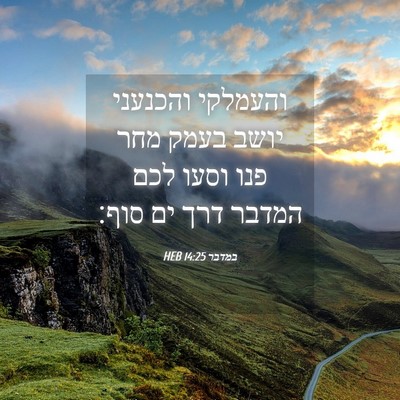 Picture 04 - במדבר 14:25 HEB - והעמלקי והכנעני יושב בעמק - Bible Verse Picture