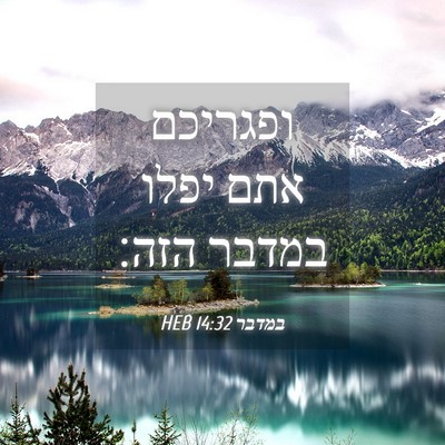 Picture 04 - במדבר 14:32 HEB - ופגריכם אתם יפלו במדבר - Bible Verse Picture