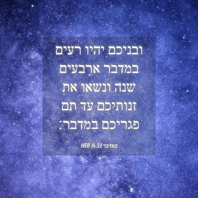 Picture 04 - במדבר 14:33 HEB - ובניכם יהיו רעים במדבר - Bible Verse Picture