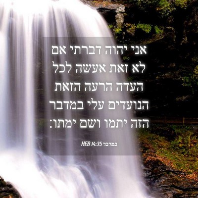 Picture 04 - במדבר 14:35 HEB - אני יהוה דברתי אם לא זאת - Bible Verse Picture