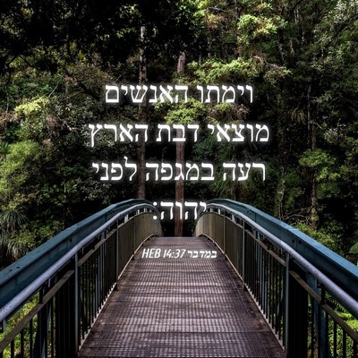 Picture 04 - במדבר 14:37 HEB - וימתו האנשים מוצאי דבת - Bible Verse Picture
