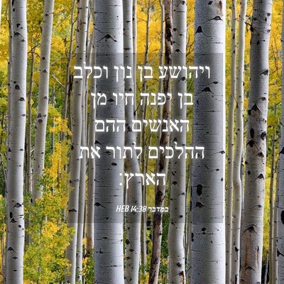 Picture 04 - במדבר 14:38 HEB - ויהושע בן נון וכלב בן יפנה - Bible Verse Picture