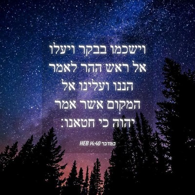 Picture 04 - במדבר 14:40 HEB - וישכמו בבקר ויעלו אל ראש - Bible Verse Picture