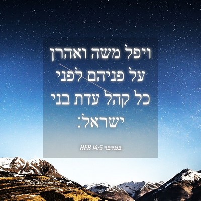 Picture 04 - במדבר 14:5 HEB - ויפל משה ואהרן על פניהם - Bible Verse Picture