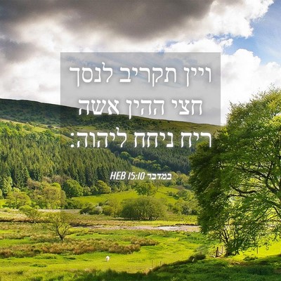 Picture 04 - במדבר 15:10 HEB - ויין תקריב לנסך חצי ההין - Bible Verse Picture