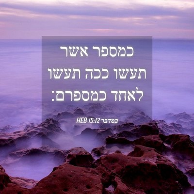 Picture 04 - במדבר 15:12 HEB - כמספר אשר תעשו ככה תעשו - Bible Verse Picture