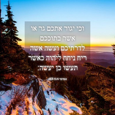 Picture 04 - במדבר 15:14 HEB - וכי יגור אתכם גר או אשר - Bible Verse Picture