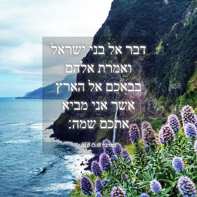 Picture 04 - במדבר 15:18 HEB - דבר אל בני ישראל ואמרת אלהם - Bible Verse Picture