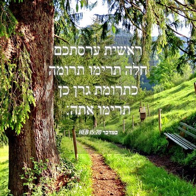 Picture 04 - במדבר 15:20 HEB - ראשית ערסתכם חלה תרימו - Bible Verse Picture