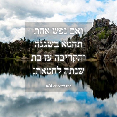 Picture 04 - במדבר 15:27 HEB - ואם נפש אחת תחטא בשגגה - Bible Verse Picture
