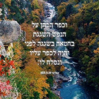 Picture 04 - במדבר 15:28 HEB - וכפר הכהן על הנפש השגגת - Bible Verse Picture