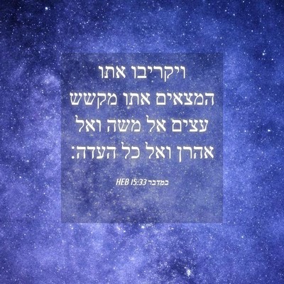 Picture 04 - במדבר 15:33 HEB - ויקריבו אתו המצאים אתו - Bible Verse Picture