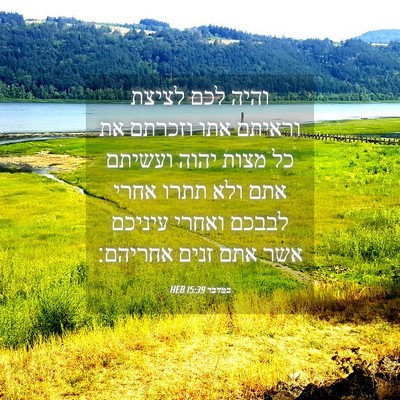 Picture 04 - במדבר 15:39 HEB - והיה לכם לציצת וראיתם אתו - Bible Verse Picture