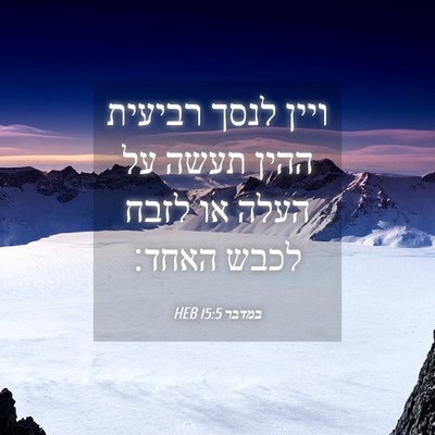 Picture 04 - במדבר 15:5 HEB - ויין לנסך רביעית ההין תעשה - Bible Verse Picture
