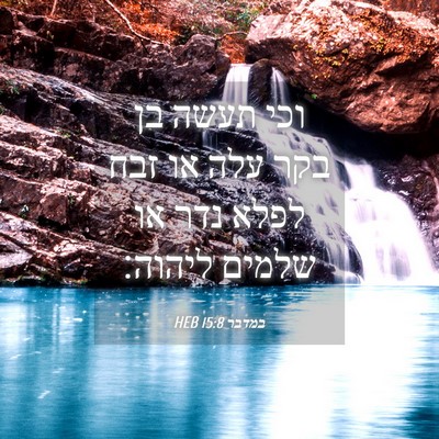 Picture 04 - במדבר 15:8 HEB - וכי תעשה בן בקר עלה או זבח - Bible Verse Picture