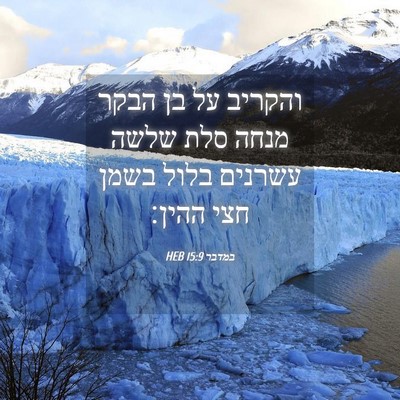 Picture 04 - במדבר 15:9 HEB - והקריב על בן הבקר מנחה סלת - Bible Verse Picture