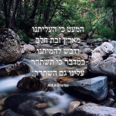 Picture 04 - במדבר 16:13 HEB - המעט כי העליתנו מארץ זבת - Bible Verse Picture