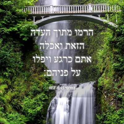 Picture 04 - במדבר 16:45 HEB - הרמו מתוך העדה הזאת ואכלה - Bible Verse Picture