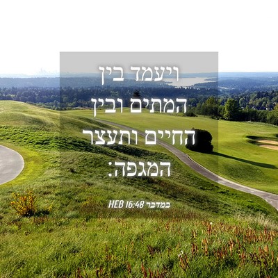 Picture 04 - במדבר 16:48 HEB - ויעמד בין המתים ובין החיים - Bible Verse Picture
