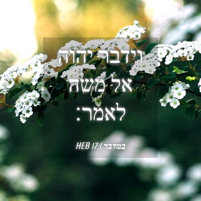 Picture 04 - במדבר 17:1 HEB - וידבר יהוה אל משה - Bible Verse Picture