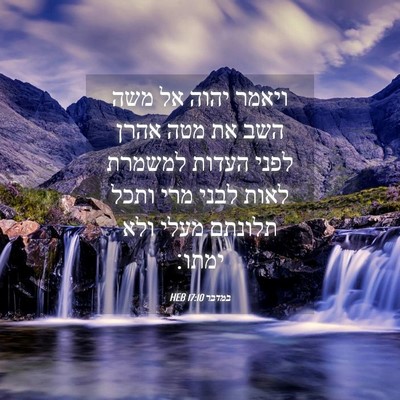 Picture 04 - במדבר 17:10 HEB - ויאמר יהוה אל משה השב את - Bible Verse Picture