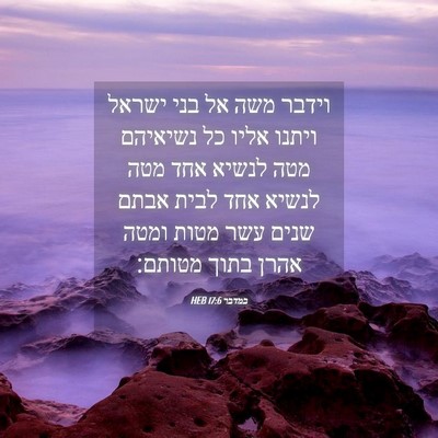 Picture 04 - במדבר 17:6 HEB - וידבר משה אל בני ישראל - Bible Verse Picture