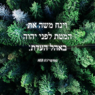 Picture 04 - במדבר 17:7 HEB - וינח משה את המטת לפני יהוה - Bible Verse Picture