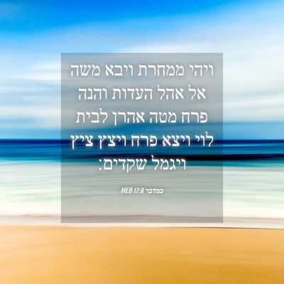 Picture 04 - במדבר 17:8 HEB - ויהי ממחרת ויבא משה אל אהל - Bible Verse Picture