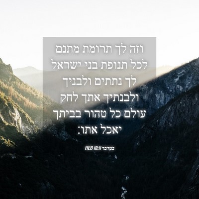 Picture 04 - במדבר 18:11 HEB - וזה לך תרומת מתנם לכל תנופת - Bible Verse Picture