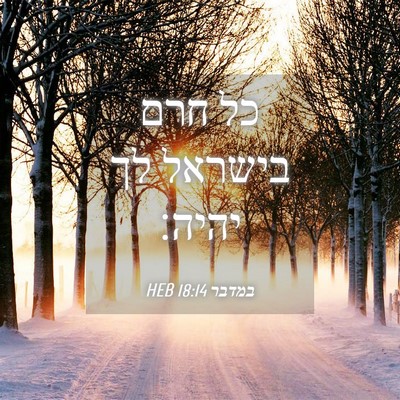 Picture 04 - במדבר 18:14 HEB - כל חרם בישראל לך - Bible Verse Picture