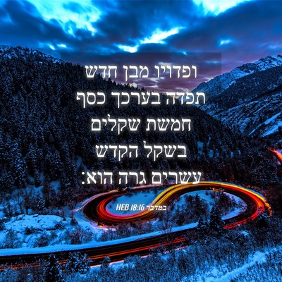 Picture 04 - במדבר 18:16 HEB - ופדויו מבן חדש תפדה בערכך - Bible Verse Picture