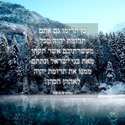 Picture 04 - במדבר 18:28 HEB - כן תרימו גם אתם תרומת יהוה - Bible Verse Picture