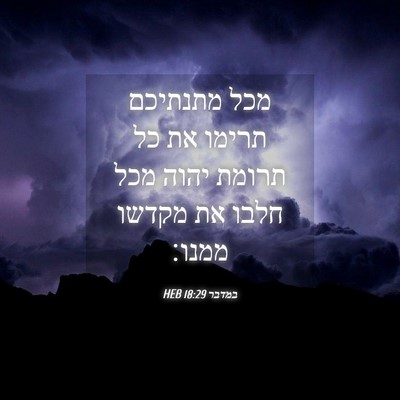 Picture 04 - במדבר 18:29 HEB - מכל מתנתיכם תרימו את כל - Bible Verse Picture