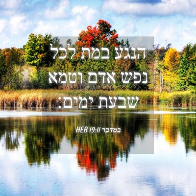 Picture 04 - במדבר 19:11 HEB - הנגע במת לכל נפש אדם וטמא - Bible Verse Picture