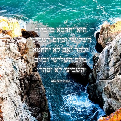 Picture 04 - במדבר 19:12 HEB - הוא יתחטא בו ביום השלישי - Bible Verse Picture