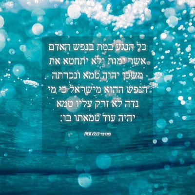 Picture 04 - במדבר 19:13 HEB - כל הנגע במת בנפש האדם אשר - Bible Verse Picture